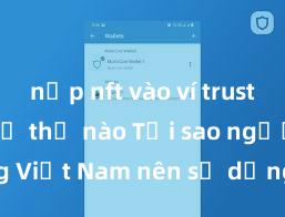 nạp nft vào ví trust wallet như thế nào Tại sao người dùng Việt Nam nên sử dụng Trust Wallet? Lợi ích và rủi ro