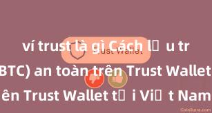 ví trust là gì Cách lưu trữ Bitcoin (BTC) an toàn trên Trust Wallet tại Việt Nam