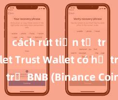 cách rút tiền từ trust wallet Trust Wallet có hỗ trợ BNB (Binance Coin) không?